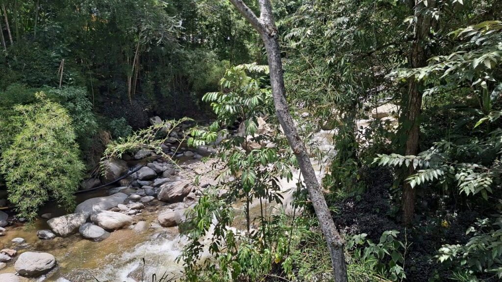 IMG-20230730-WA0016