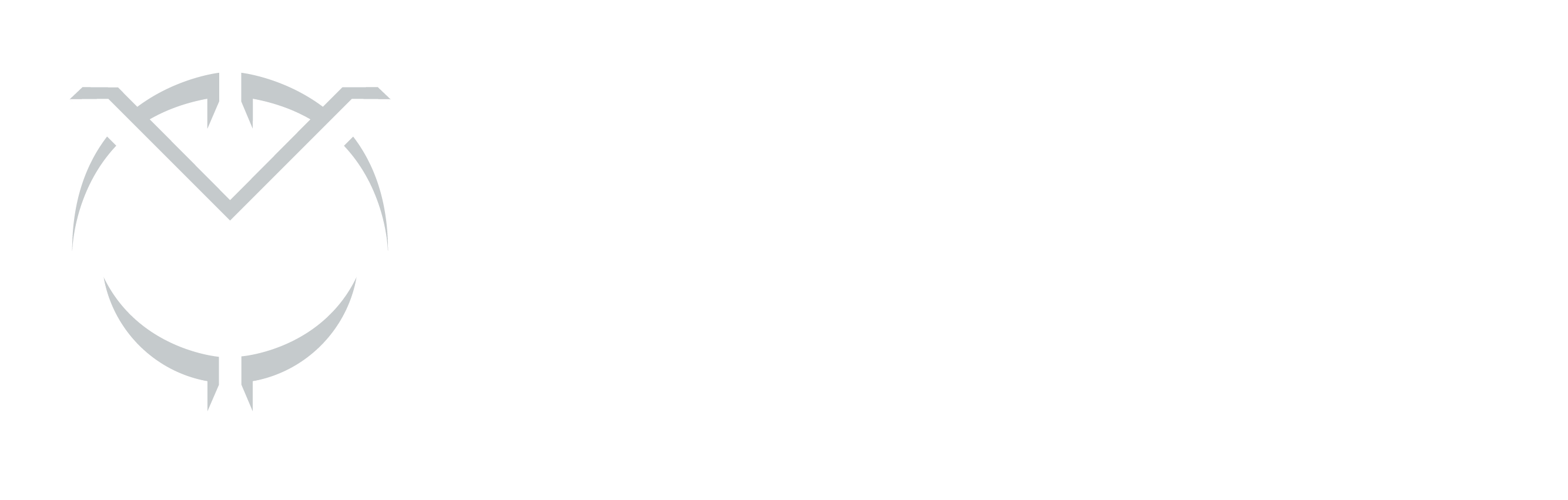 MARCA BLANCA HORIZONTAL CCV 2020-04 MARCA BLANCA HORIZONTAL CCV 2020-04