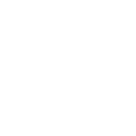 3 3